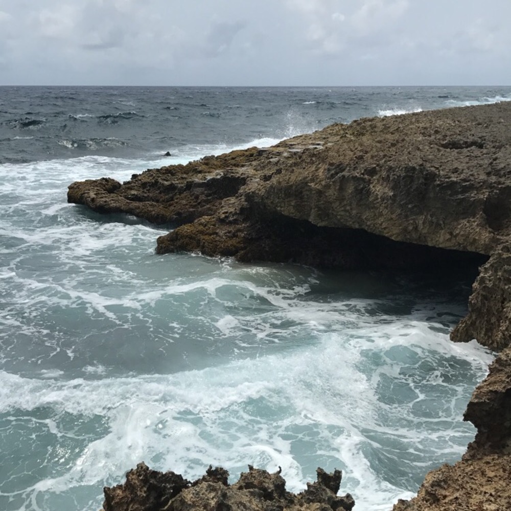 Meet your Posher, Lexi