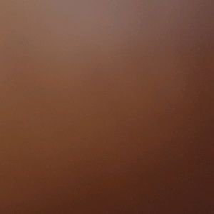 Meet your Posher, Jose