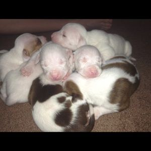 Meet your Posher, Chelsey