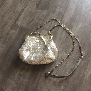 Silver sequin purse/clutch