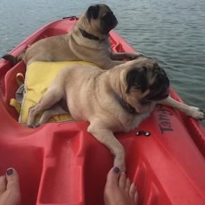 Meet your Posher, Kristi