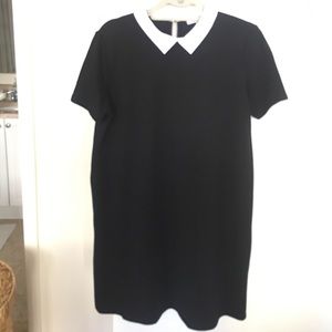 Black Zara trafaluc dress