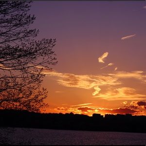 Meet your Posher, Cassidy