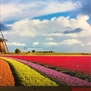 Meet your Posher, Patricia