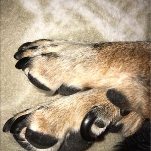 Meet your Posher, Jackie