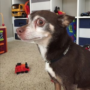 Meet your Posher, Amber