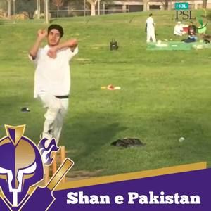 Meet your Posher, Afan