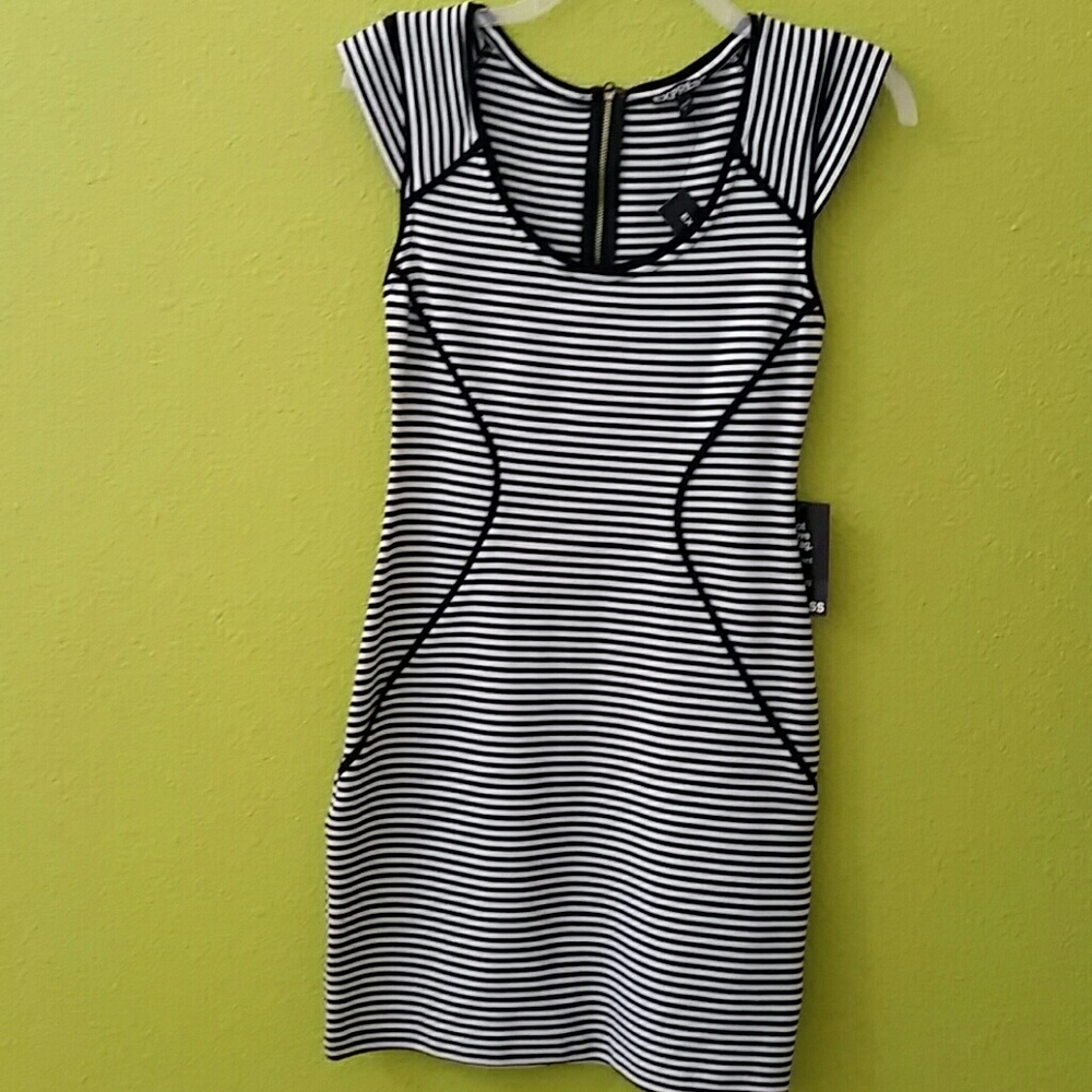 Express striped spandex dress