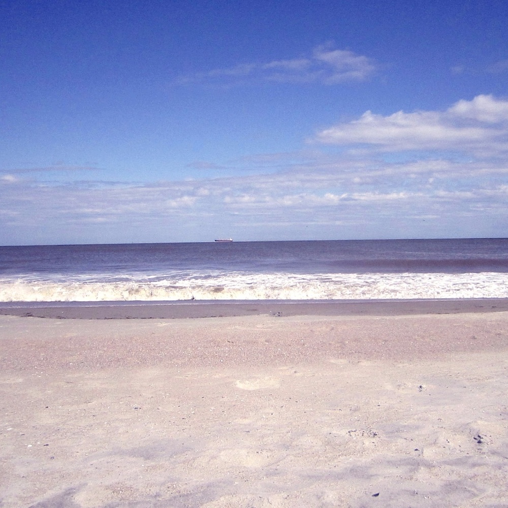 Meet your Posher, Sheila