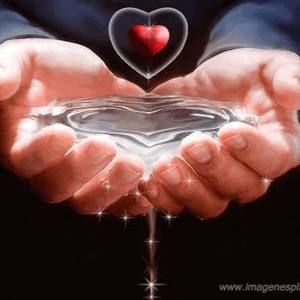 Meet your Posher, Arely