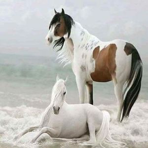 Meet your Posher, Emmanuel