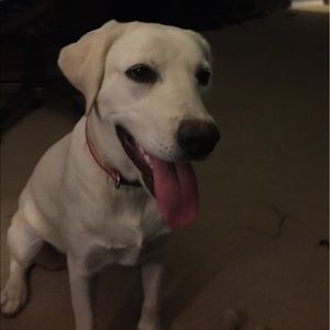 Meet your Posher, Mandy