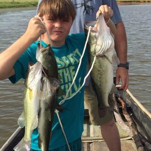 Meet your Posher, Jackson