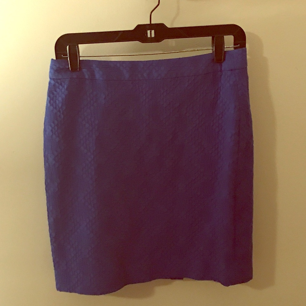 Cobalt Blue Textured Banana Republic Skirt Size 6P