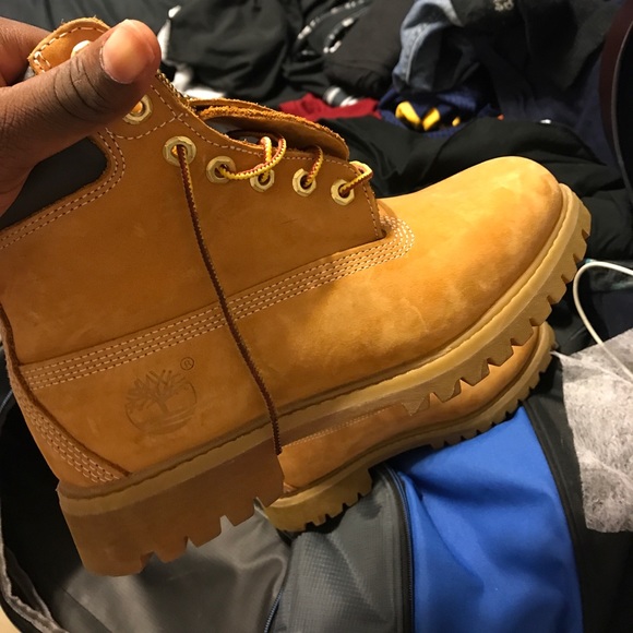 Timberlands - Picture 2 of 4