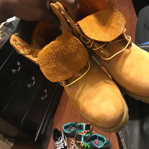 Timberlands - Picture 4 of 4