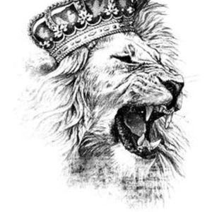 Meet your Posher, Ty