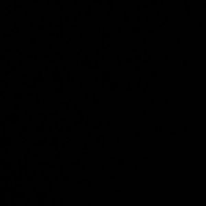 Meet your Posher, Omartheking