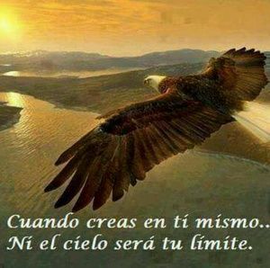 Meet your Posher, Ada