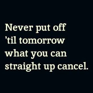 Meet your Posher, Jamila