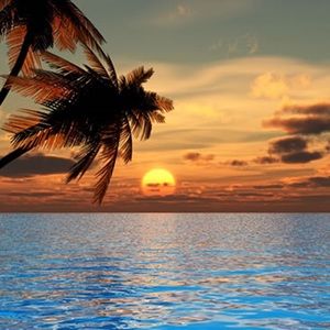 Meet your Posher, Cait