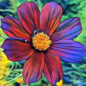 Meet your Posher, Kate