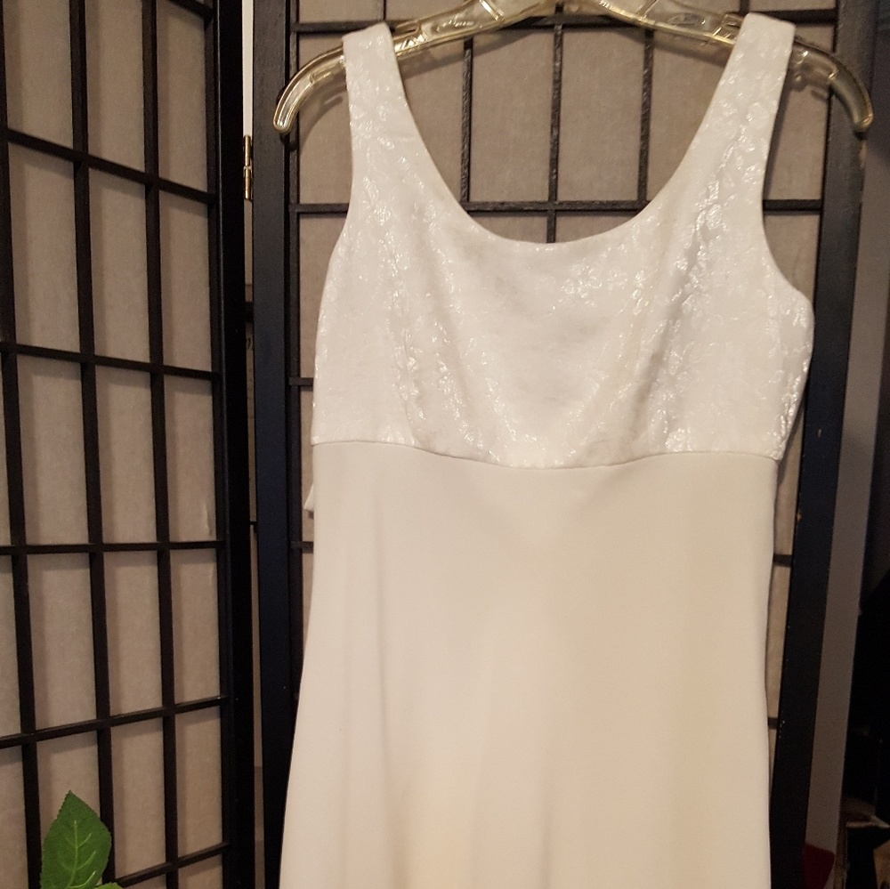 Beautiful Ann Taylor Rayon & Nylon dinner dress.