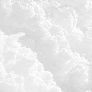 Meet your Posher, Zoey