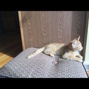 Meet your Posher, Carrie