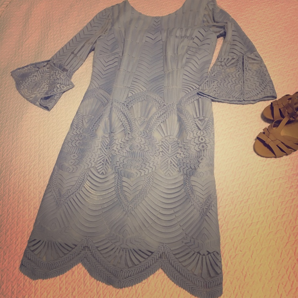 Beautiful Lace Antonio Melani Dress