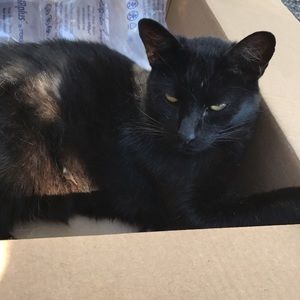 Meet your Posher, Zoe