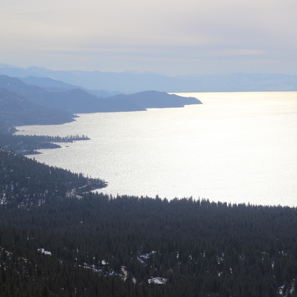 Meet your Posher, Alison - Picture 2 of 2