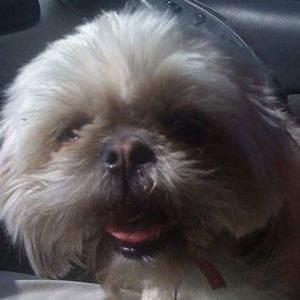 Meet your Posher, Gina