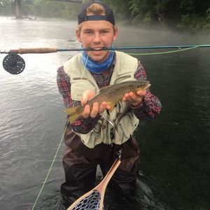 Meet your Posher, Coleman