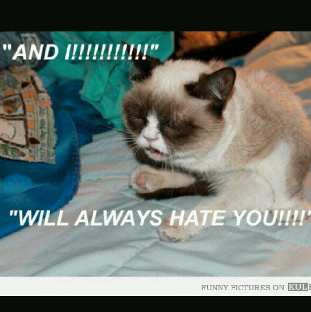 Meet your Posher, Eve