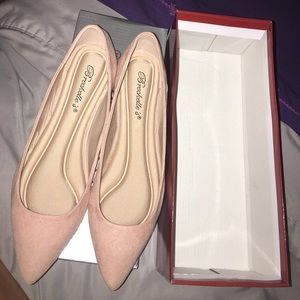 Point Toe Flats