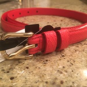 Orange Snake-print Belt - NWT, Banana (M)