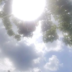 Meet your Posher, Felicia