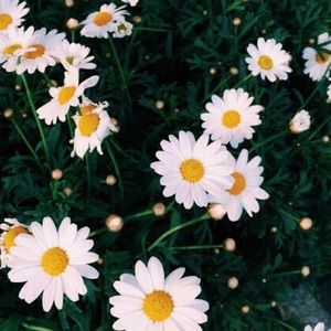 Meet your Posher, Jordynn