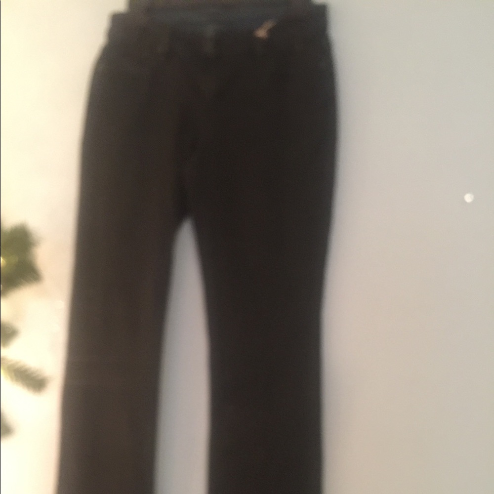 Brand New BCBG Jeans