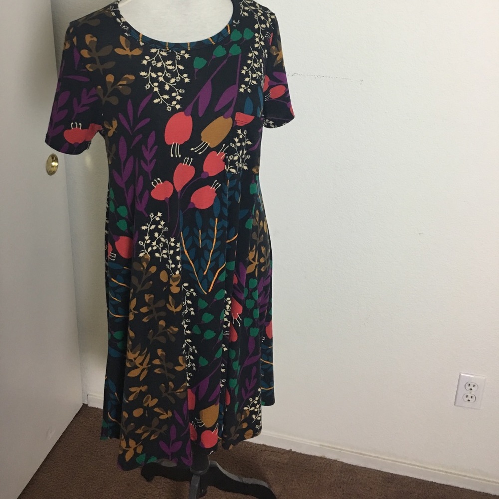 EUC LuLaRoe Carly Small