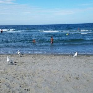 Meet your Posher, Joanna