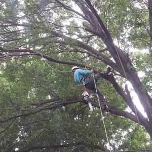 Meet your Posher, Cade