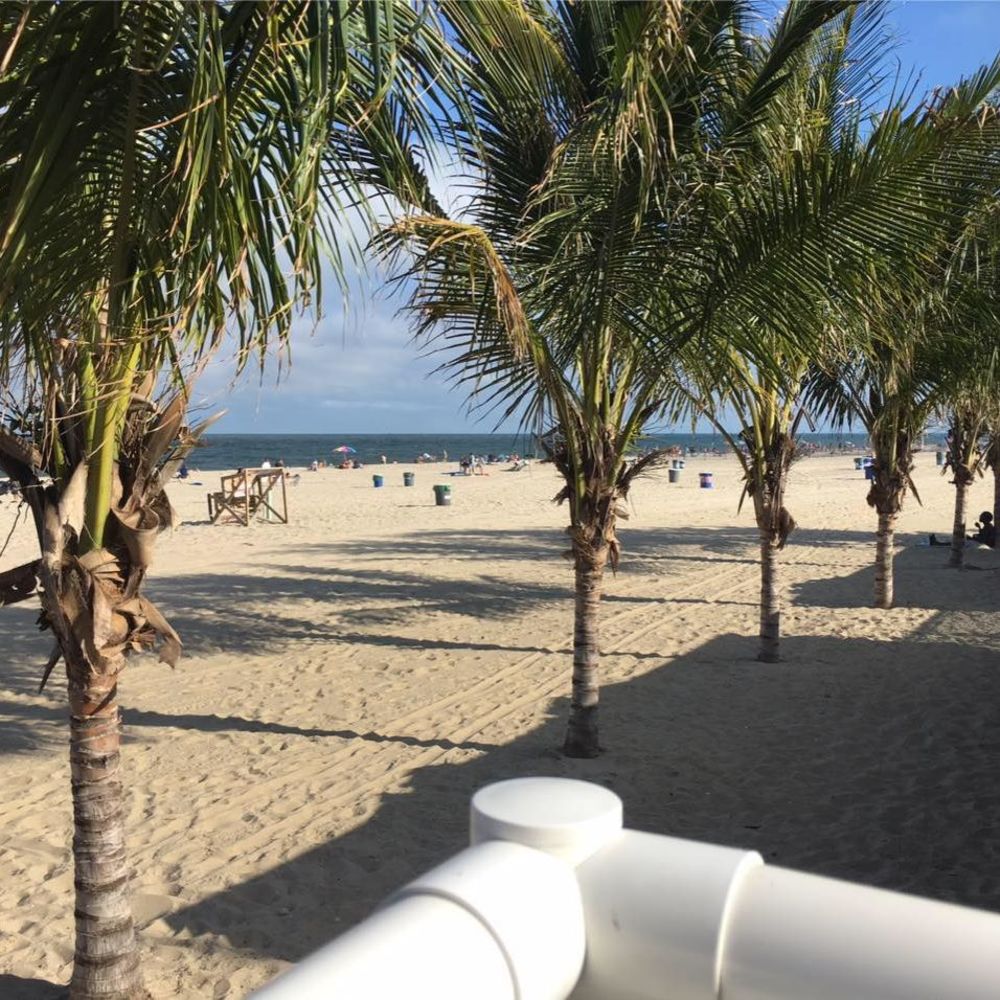 Meet your Posher, Shaneza