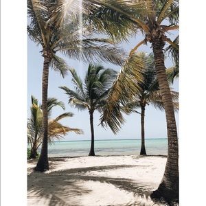 Meet your Posher, Julio andres