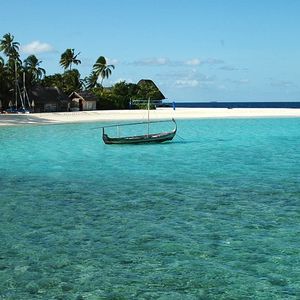 Meet your Posher, Lynn