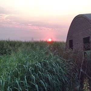 Meet your Posher, Sam