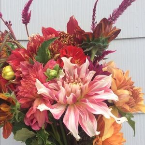 Meet your Posher, Annie