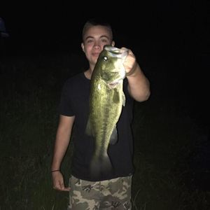 Meet your Posher, Collin