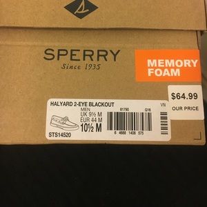 Men's sperry